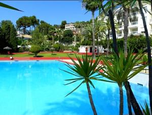A piscina localizada em Casa Caracol ou nos arredores