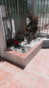 a garden in front of a fence with flowers at Casa Amplia Completa Privada para Familias in Santa Marta