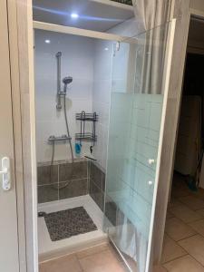 um chuveiro com uma porta de vidro na casa de banho em Studio décoré avec goût em Saint-Paul-Trois-Châteaux