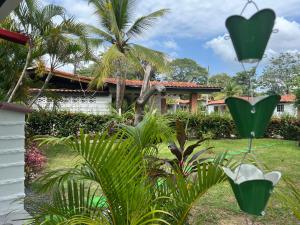 un jardín con plantas verdes y una casa en Playa Coronado - piscine - Golf., en Playa Coronado