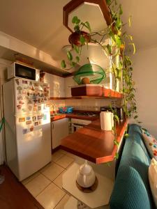 a kitchen with a refrigerator and a table with potted plants at Departamento frente a Playa Brava in Iquique