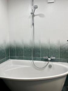 a bath tub with a shower in a bathroom at Marijos apartamentai in Birštonas +17 photos