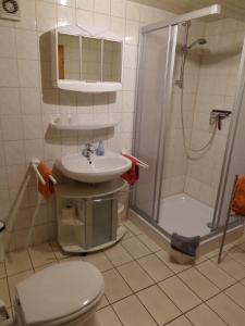 ein Bad mit einer Dusche, einem WC und einem Waschbecken in der Unterkunft Bauernstube Scheidterhof in Kobern-Gondorf