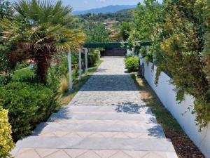 Jardí fora de Seaview dreams