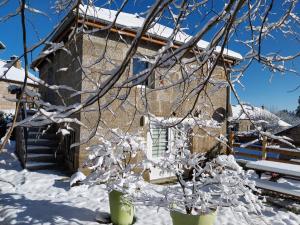 una casa con nieve en las ramas de un árbol en La ch'tiote meizou, en Mazet-Saint-Voy