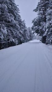 uma estrada coberta de neve com árvores em Kotula em AdamÃ³w
