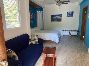 a living room with a couch and a bed at JAGUAR MORNING STAR in Caye Caulker