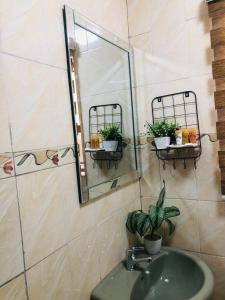 a bathroom sink with a mirror and potted plants at Thati @ C-rane Lodge in Phalaborwa