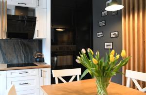 Eldhús eða eldhúskrókur á Apartamenty Stara Wisła