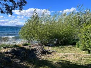 a bush on a beach near the water at Melipal Schuss ARG41 in San Carlos de Bariloche
