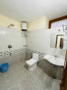 a bathroom with a toilet and a sink at Naivedyam villa in Mount Ābu