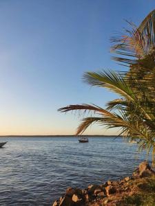 a palm tree and a boat in the water at CASA Praia Cacha Pregos in Vera Cruz de Itaparica