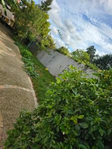 a row of bushes in front of a building at Appartement Neuf Orsay Le Guichet, proche des écoles Paris Saclay in Orsay