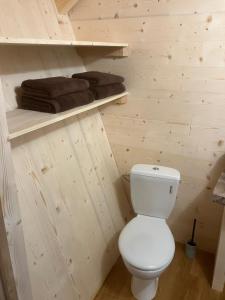 a bathroom with a toilet and towels on shelves at Cabane Insolite de la Semine in La Pesse