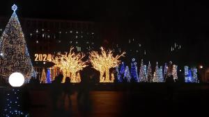 um grupo de árvores decoradas com luzes à noite em Tinyhouse im Herzen von Varna em Varna City