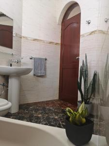 uma casa de banho com um lavatório, um WC e uma planta em Excelente localización en Praia em Praia