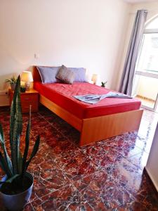 1 dormitorio con cama roja y maceta en Excelente localización en Praia en Praia