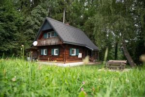 a small wooden house with a black roof at Gregor's Ferienhaus im Wald in Edelschrott