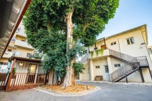 a large tree in front of a building at the container house in Ra‘ananna