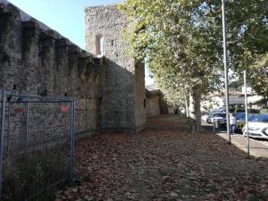 einen Gehweg mit Blättern neben einer Steinmauer in der Unterkunft La Casa di Nella in Lastra a Signa