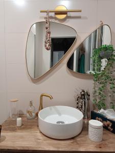 La salle de bains est pourvue d'un lavabo blanc et d'un miroir. dans l'établissement Appartement REZ DE JARDIN avec SPA entre la MER et Montpellier 10mn, à Lattes