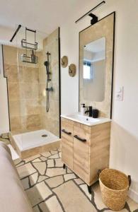een badkamer met een wastafel en een douche met een spiegel bij Chez Samuel et Rita in Étupes