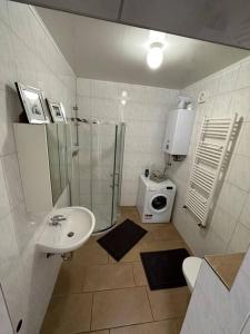 a bathroom with a shower and a sink and a toilet at Studio mit Terrasse im Zentrum in Gronau