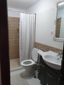 a bathroom with a toilet and a sink and a shower at NANA"S HOUSE APARTAMENT 2 Camere,2 bai in Sibiu