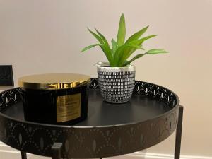 a black table with a plant on top of it at Luxury Home in Blackpool in Blackpool