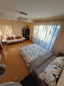 a living room with two beds and a window at Casa verde 2 in Pantelimon