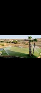 - une vue sur un parcours de golf avec un palmier dans l'établissement Marina Golf appartement de luxe, à Assilah