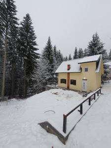 a house in the snow next to a forest at Vila Veljkovic in Kopaonik