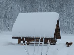 um gato sentado ao lado de um banco coberto de neve em Domek w Bieńkówce 