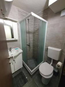 uma casa de banho com um chuveiro, um WC e um lavatório. em Vila Veljkovic em Kopaonik