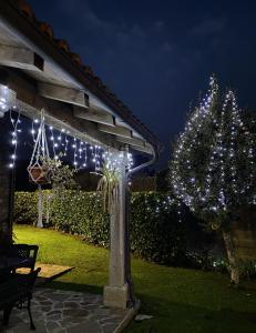un jardín con un árbol de Navidad y luces en Casa Elvira, en Marquiño