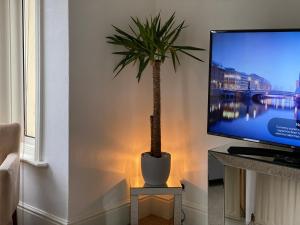una planta sentada en una mesa junto a un monitor de ordenador en 5 min from the beach En suite room in Guest house, en Bournemouth