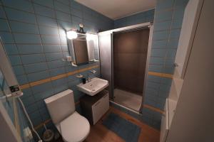 een blauw betegelde badkamer met een toilet en een wastafel bij Sonniges Haus bei Bern in Herrenschwanden
