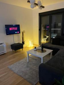 トレビニェにあるPREMIUM Centerのソファとテレビのあるリビングルーム