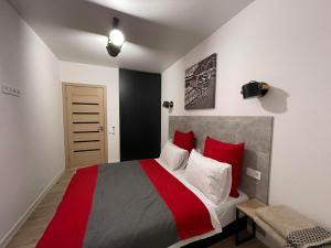 een slaapkamer met een groot bed met rode kussens bij Apartment for rent in the city center of Kharkiv K18 Elinaflats in Charkov