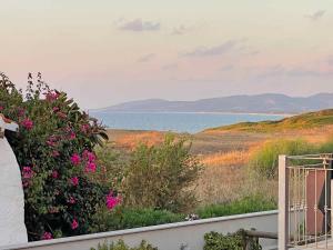 a view of the ocean from the balcony of a house at Villa La Rosa dei Venti in Codaruina