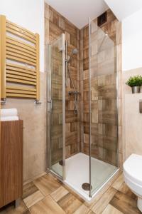 um chuveiro com uma porta de vidro na casa de banho em MAESTRIA POLANICA em Polanica-Zdrój