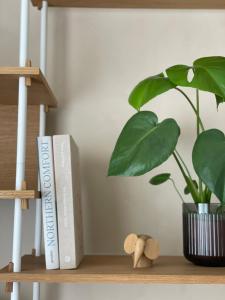 a book shelf with two books and a potted plant at Hygge-Apartment Jena in Jena