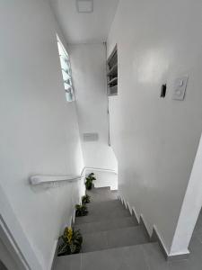 a staircase in a white building with potted plants at Casa de Mainha - Vila Mariana - unidade 2 in Sao Paulo