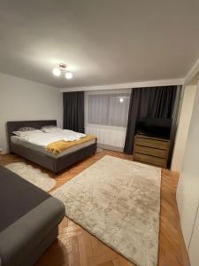 a bedroom with a bed and a flat screen tv at Londof Villa with panoramic view in Braşov