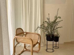 deux chaises et une plante en pot devant une fenêtre dans l'établissement Apulian Vibes modern villa, à Ostuni