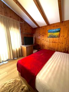 sypialnia z dużym łóżkiem i telewizorem w obiekcie Flumen Park w Tiranie