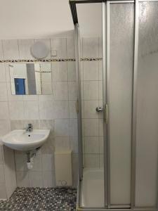 a bathroom with a shower and a sink at Komfortable Wohnung in Magdeburg