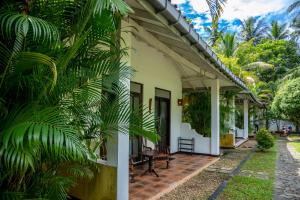 Casa blanca con patio y palmeras en Jasmine Cabanas en Unawatuna