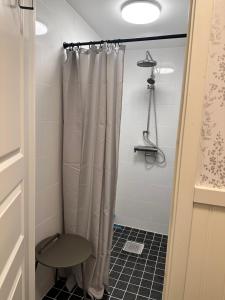 La salle de bains est pourvue d'une douche avec rideau de douche. dans l'établissement Northernlight cabin, à Kiruna