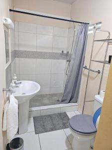 La salle de bains est pourvue d'une douche, de toilettes et d'un lavabo. dans l'établissement Chez Nana, à Cayenne